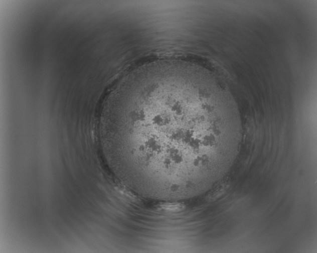 X0000067530659200604211845