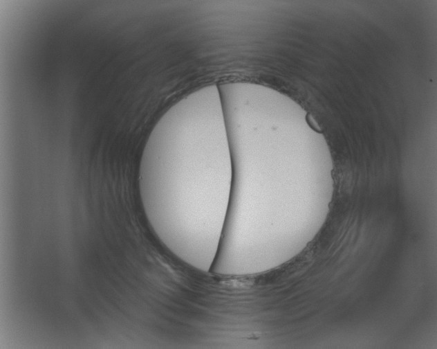 X0000067530660200604211845