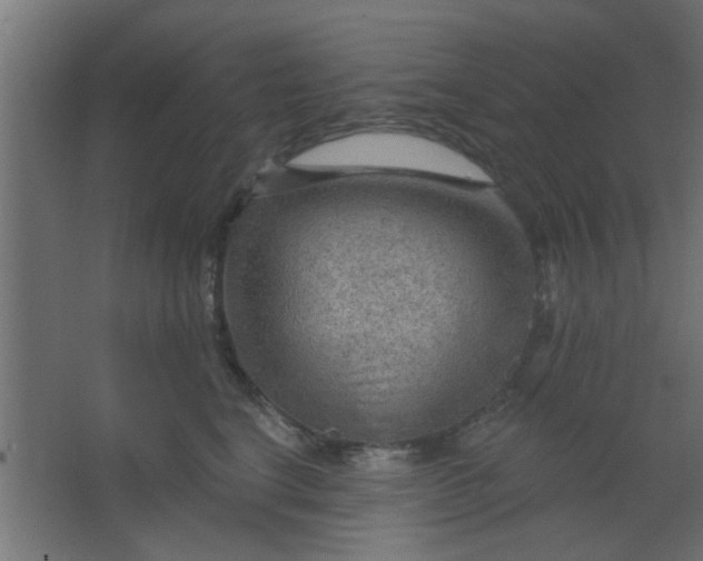 X0000067530664200604211845