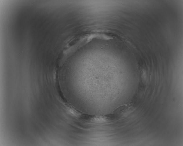 X0000067530668200604211845