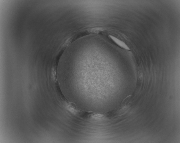 X0000067530669200604211845