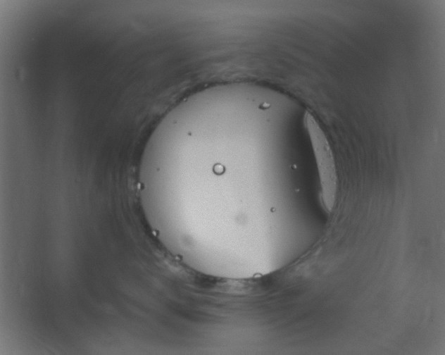 X0000067530672200604211845