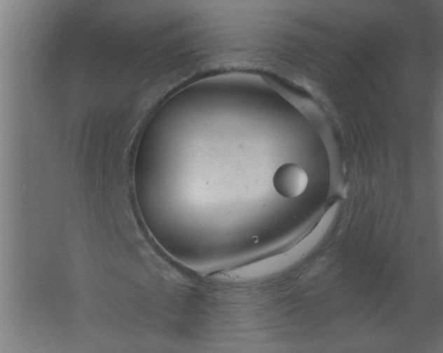 X0000067530673200604211844