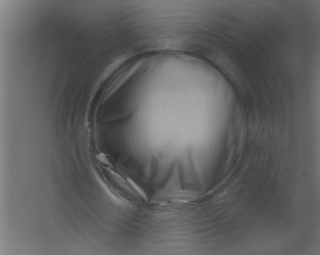 X0000067530674200604211844