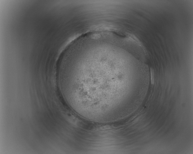 X0000067530675200604211844