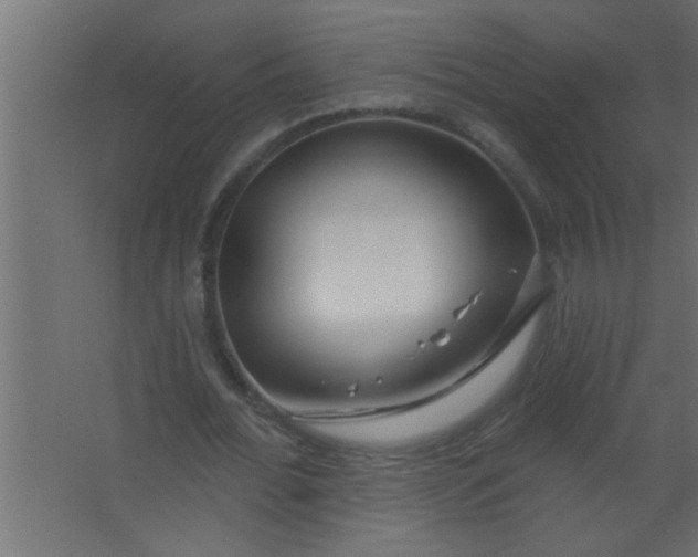 X0000067530676200604211844