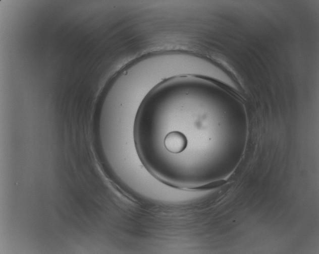 X0000067530677200604211844