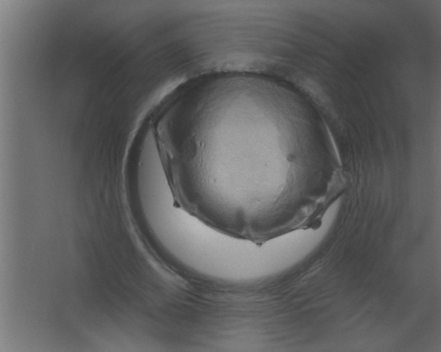 X0000067530678200604211844