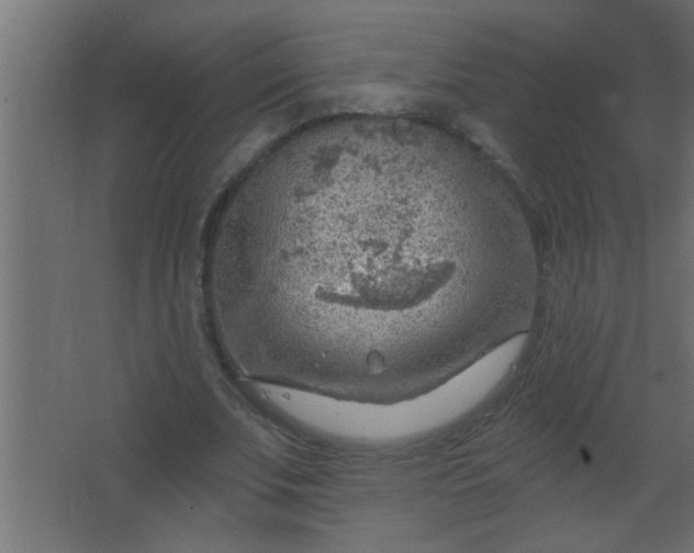 X0000067530679200604211844