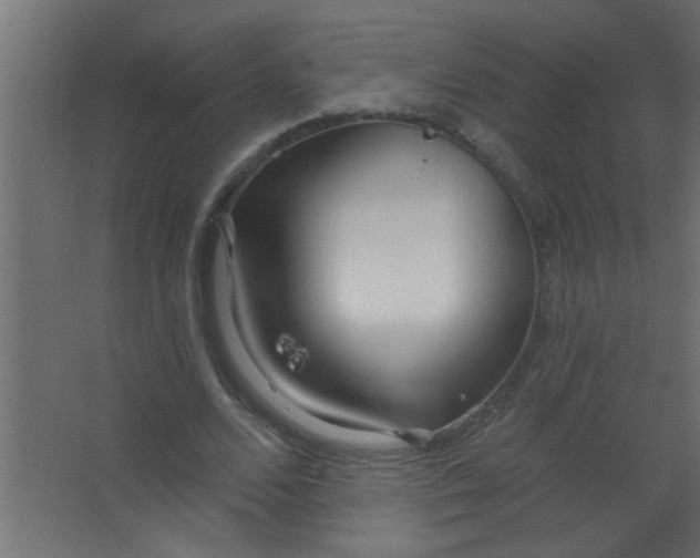 X0000067530680200604211844