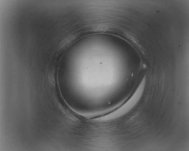 X0000067530681200604211844