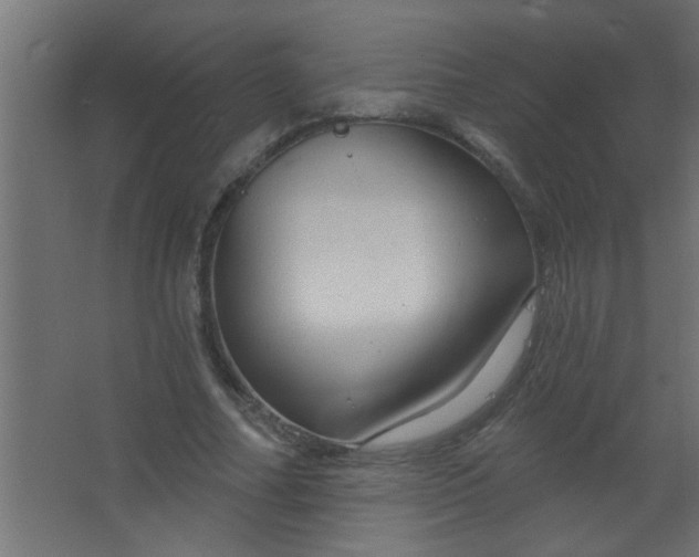 X0000067530682200604211844