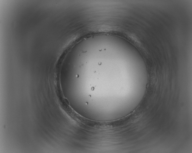 X0000067530683200604211844