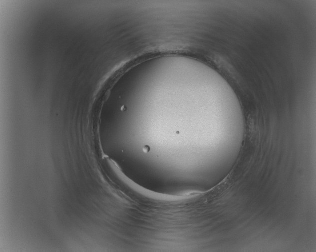 X0000067530684200604211844