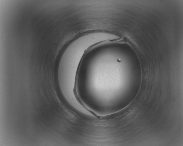 X0000067530685200604211844