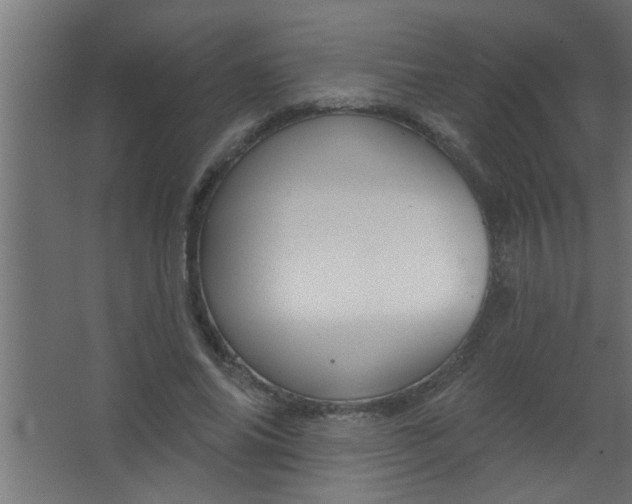 X0000067530686200604211844