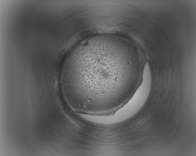 X0000067530687200604211844