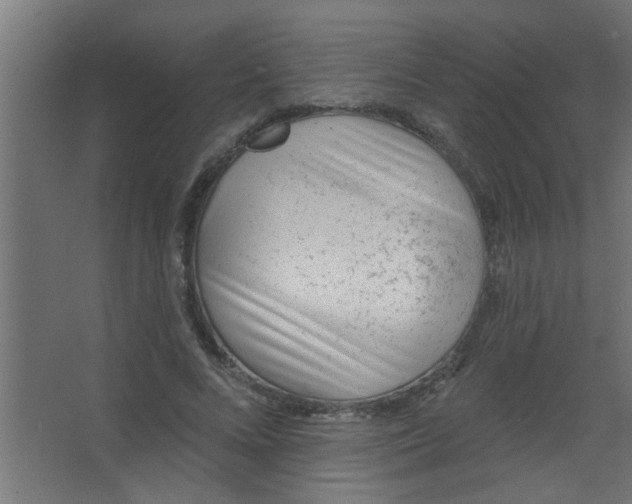 X0000067530688200604211844