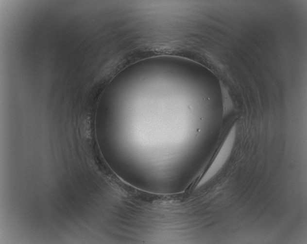 X0000067530689200604211844