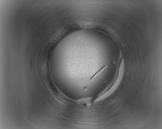 X0000067530690200604211844