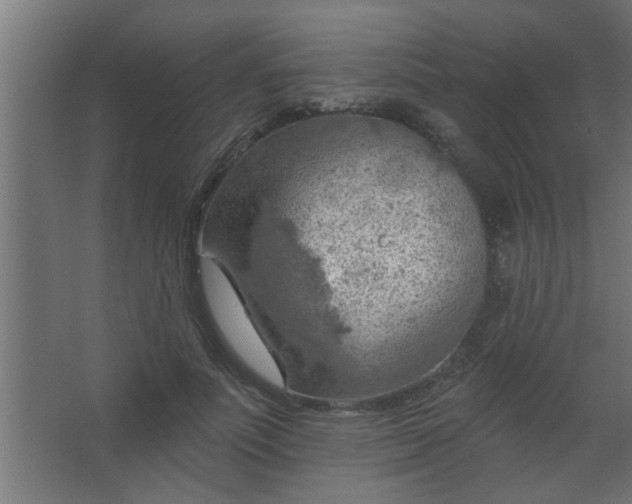 X0000067530691200604211844