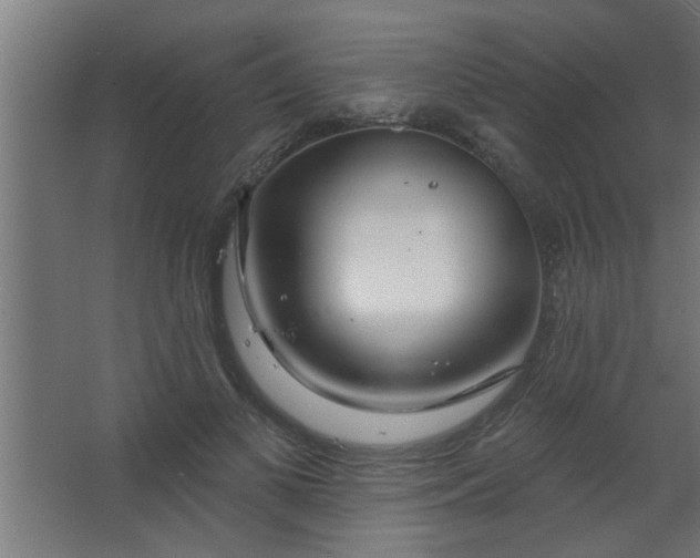 X0000067530693200604211844