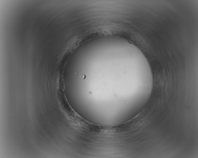 X0000067530694200604211844