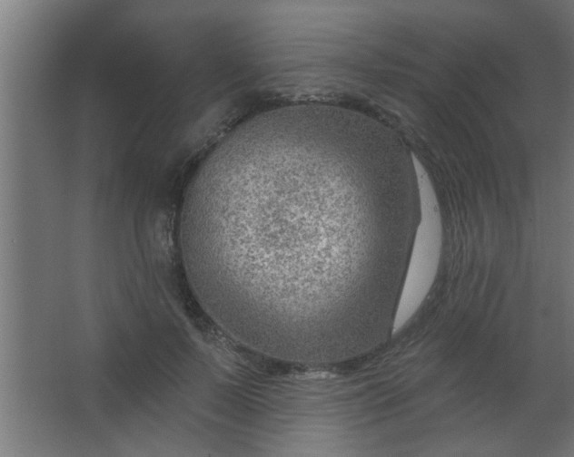 X0000067530695200604211844