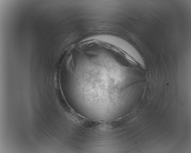 X0000067530696200604211844