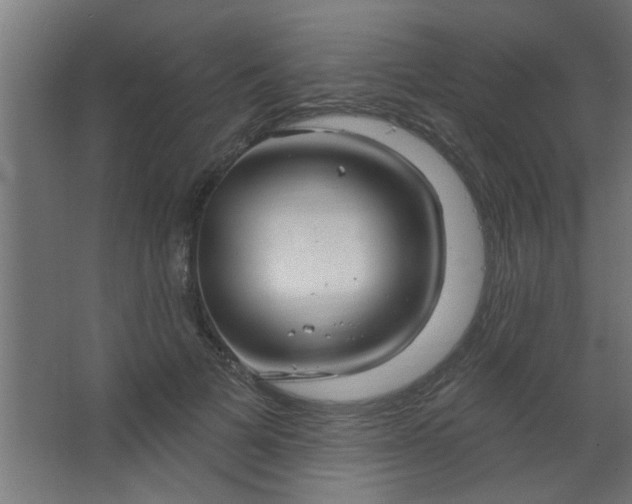 X0000067530697200604211844