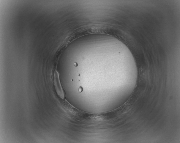 X0000067530698200604211844