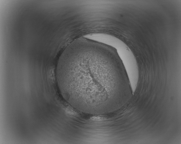 X0000067530699200604211844