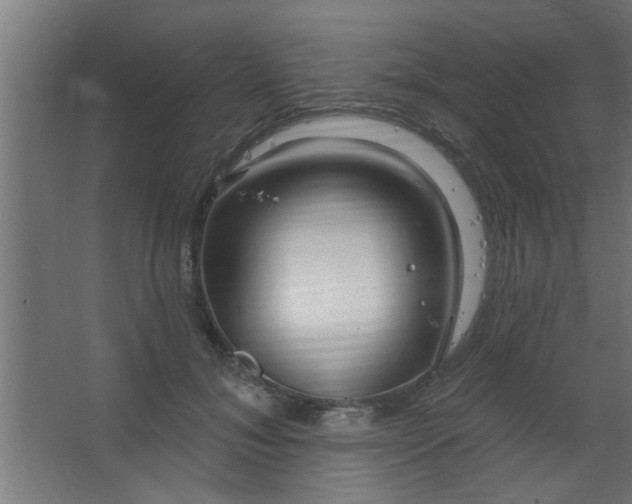 X0000067530700200604211844