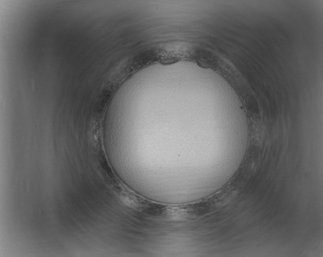 X0000067530701200604211844