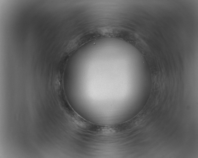 X0000067530702200604211844