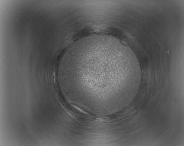 X0000067530703200604211844