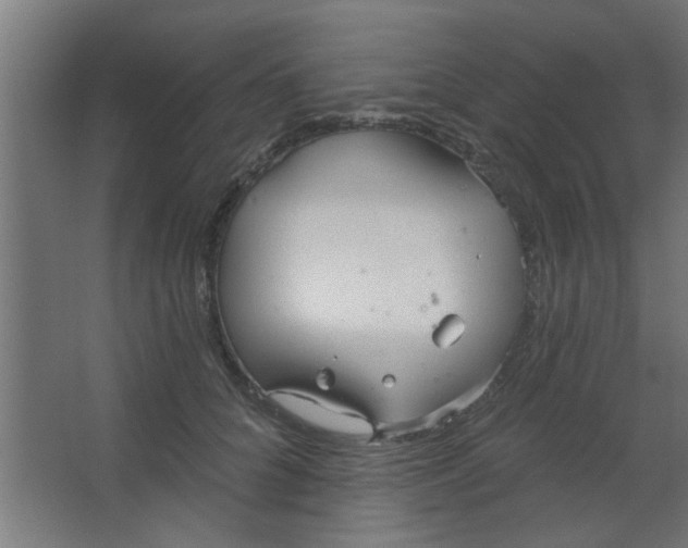 X0000067530704200604211844