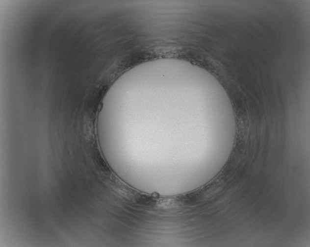 X0000067530705200604211844