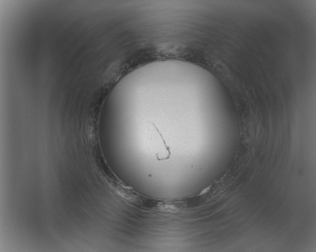 X0000067530706200604211844