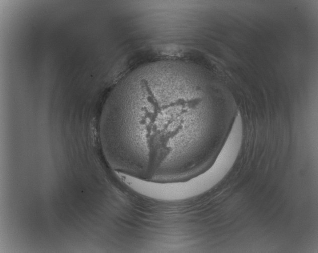 X0000067530707200604211844