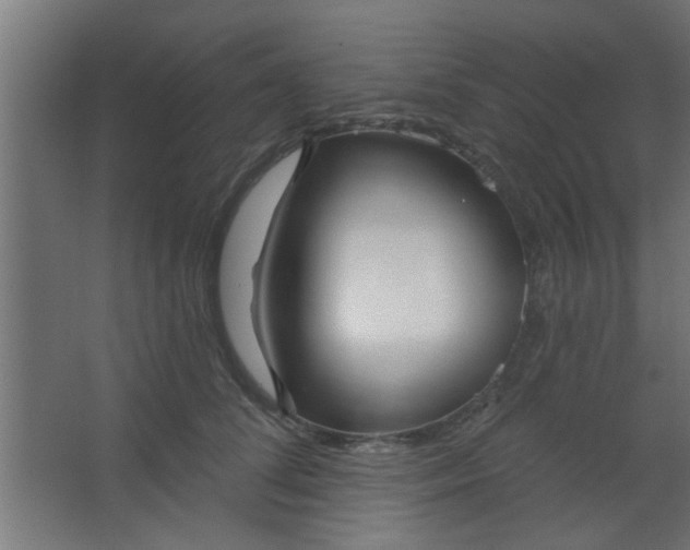 X0000067530708200604211844