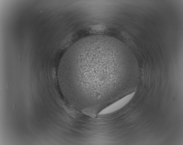 X0000067530711200604211844