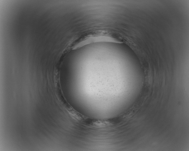 X0000067530712200604211844