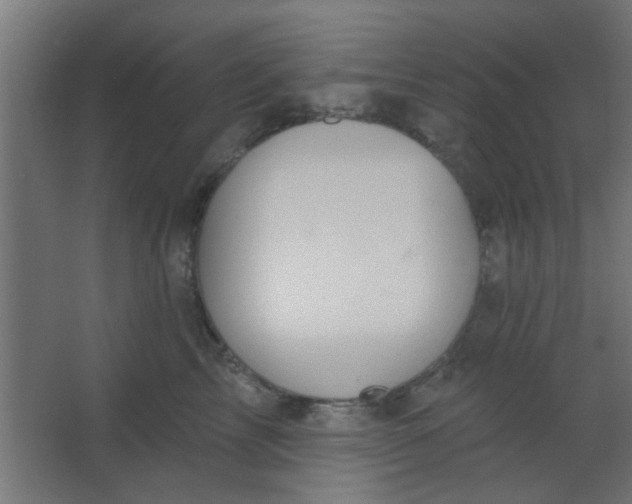 X0000067530713200604211843