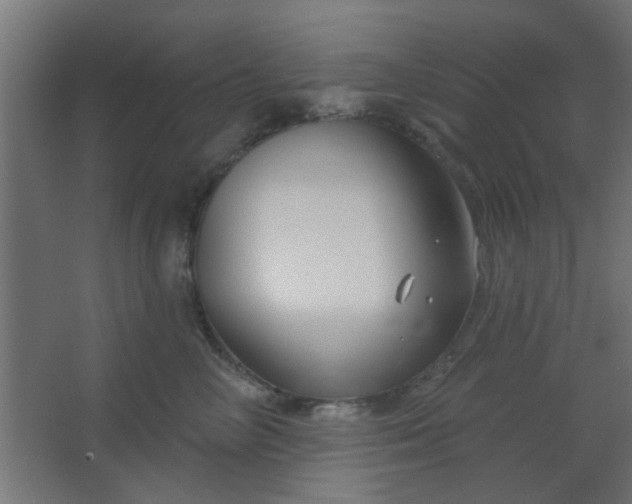 X0000067530714200604211843