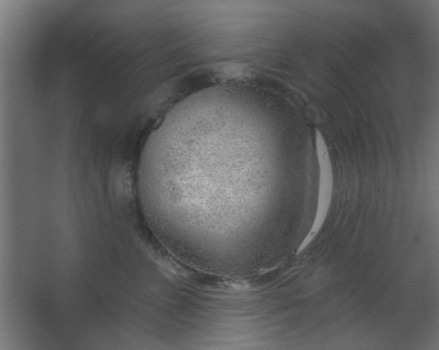 X0000067530715200604211843