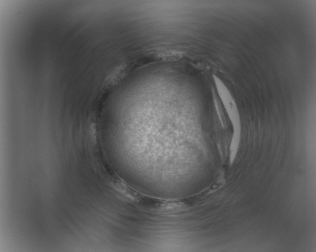 X0000067530716200604211843