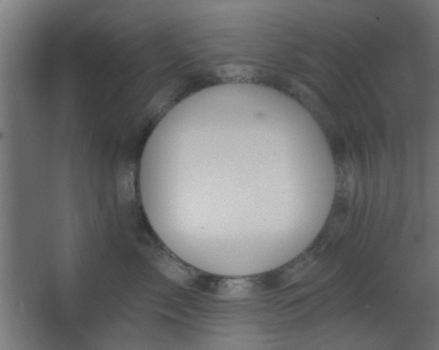 X0000067530717200604211843