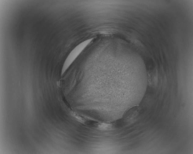 X0000067530718200604211843