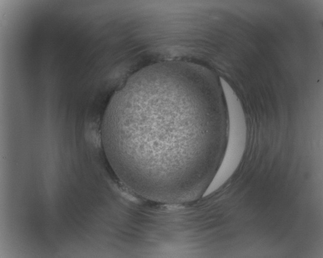 X0000067530719200604211843